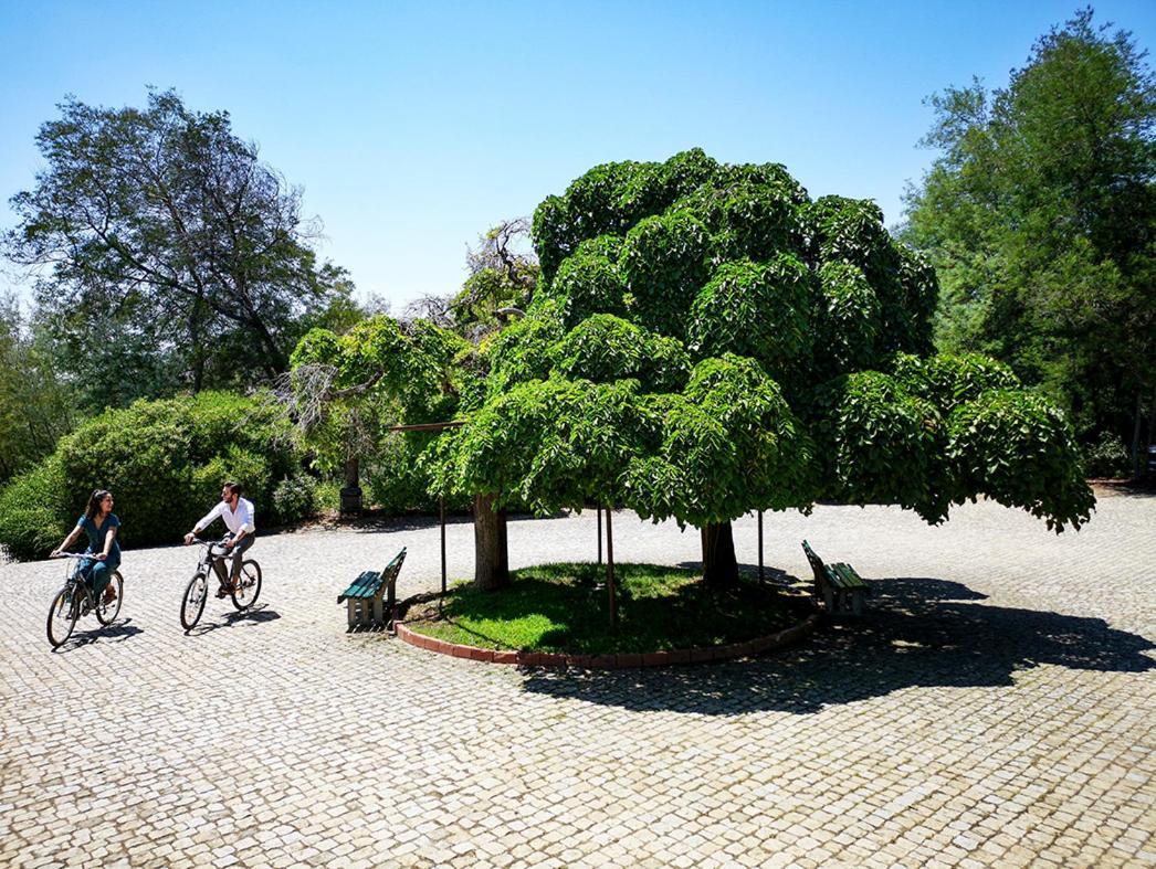 Herdade Clube Tiro Monfortinho Bagian luar foto